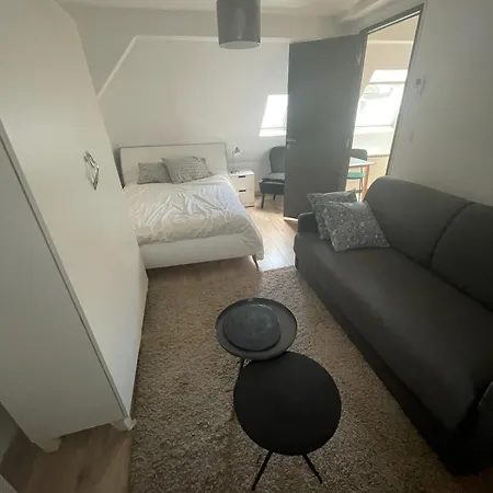 Apartamento Duc D'alsace *